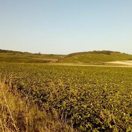 2 Pieces Le Sophro'Logis & Bien-Etre En Champagne * Berru