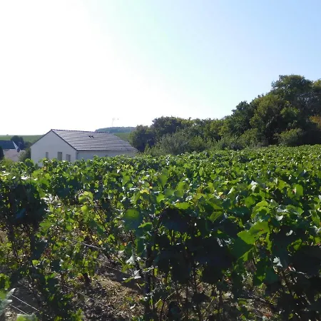 شقة 2 Pieces Le Sophro'Logis & Bien-Etre En Champagne *